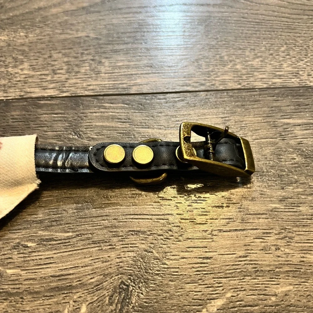 Dog Collar W/Bandanna‎ and Bandanna NEW